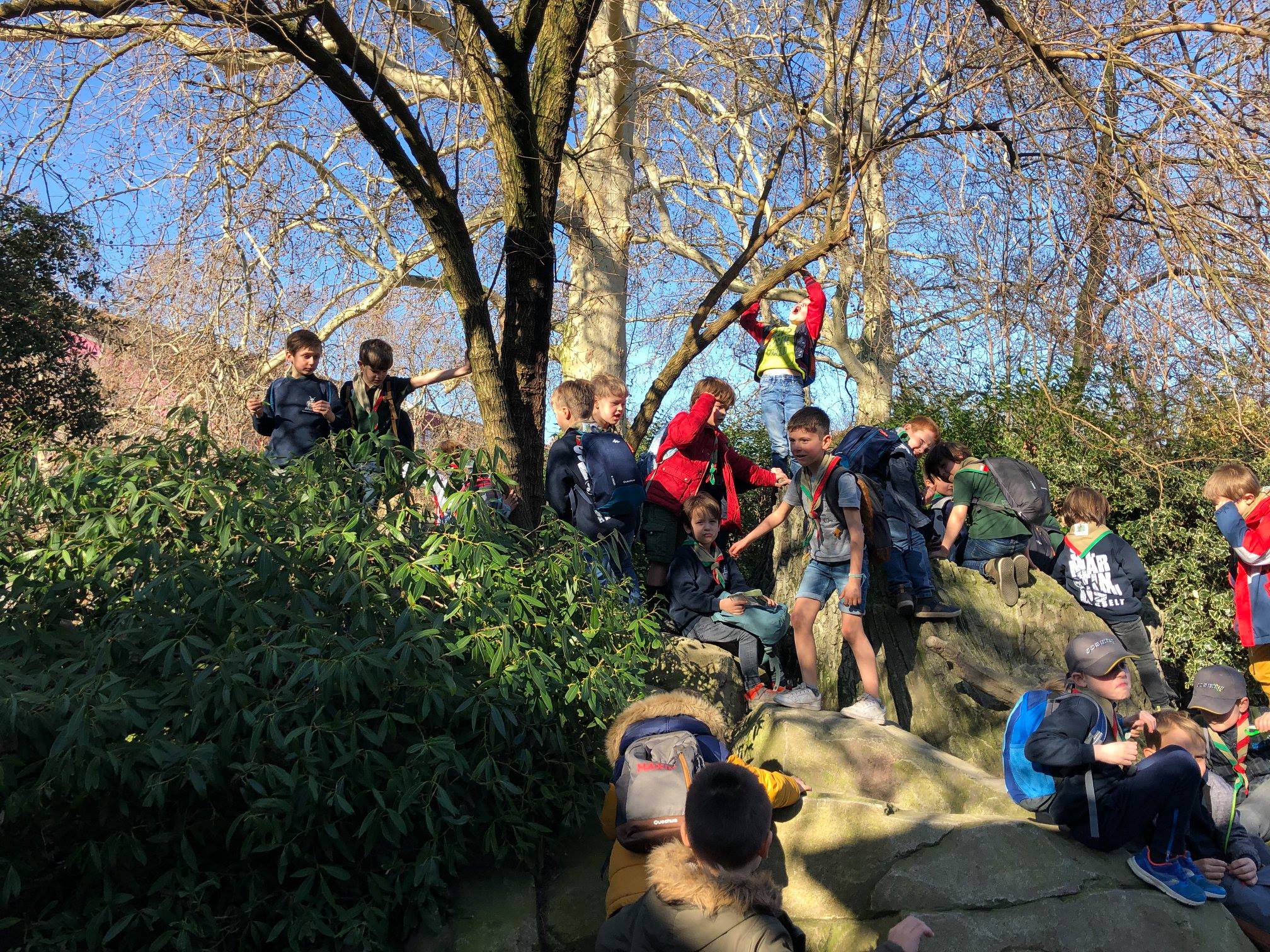 Sint-Martinus den XIIde - Zoo Antwerpen Kapoenen
